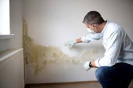 Why You Should Choose Our Mold Remediation Services in Inverness, CO